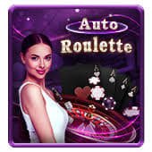 Sports and casino-style entertainment overview on 13333bd for adult members